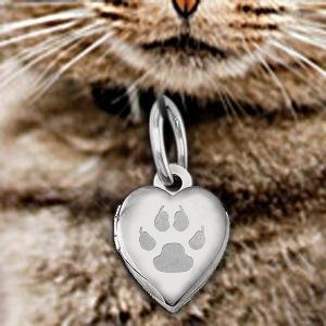 Cat s Paw Print Heart Picture Locket