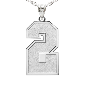 Single Number Charm or Pendant