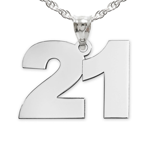 High Polished Number Charm or Pendant with 2 Digits